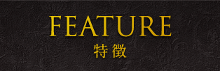 FEATURE 特徴