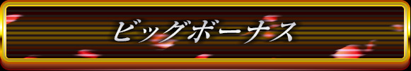 ビッグボーナス